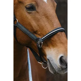 equitheme-domino-nylon-halfter