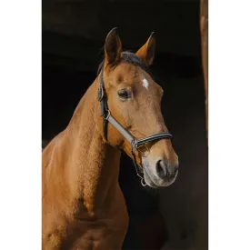 equitheme-domino-nylon-halter