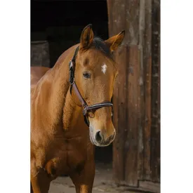 equitheme-licol-domino-nylon