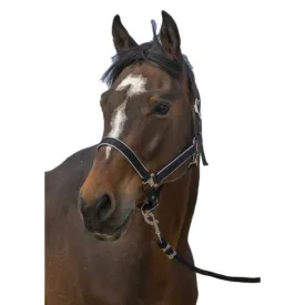 equitheme-nylon-light-riimu