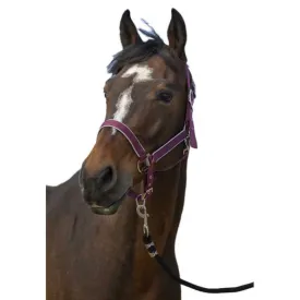 equitheme-licol-nylon-light