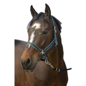 equitheme-nylon-light-grimmor