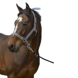 equitheme-nylon-light-grime