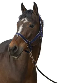 equitheme-nylon-light-굴레