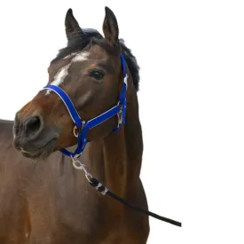 equitheme-nylon-light-halfter