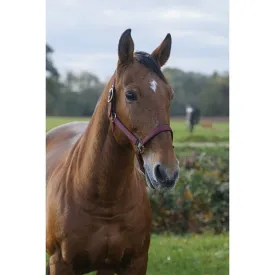 equitheme-spring-nylon-Χαλινάρι