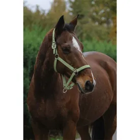 equitheme-spring-nylon-halster