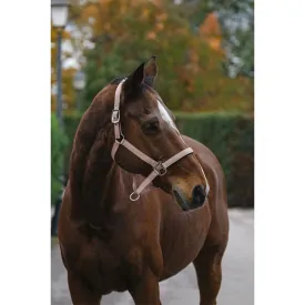 equitheme-licol-spring-nylon