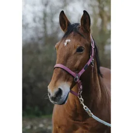 equitheme-spring-nylon-굴레