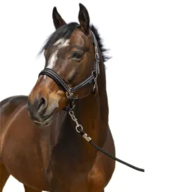 norton-equestrian-cabrestro-4lines