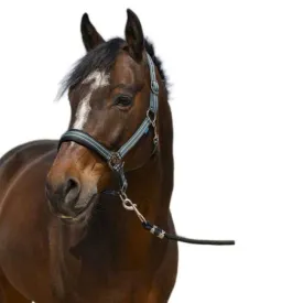 norton-equestrian-4lines-halfter