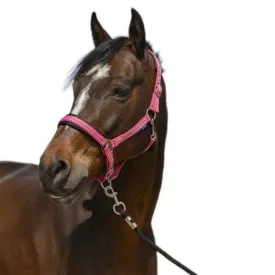 norton-equestrian-4lines-grimmor