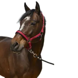 norton-equestrian-4lines-halfter