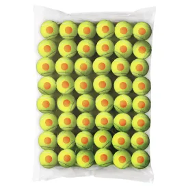 wilson-starter-테니스-공-48-단위