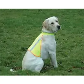 kruuse-chaleco-reflectante-para-perro