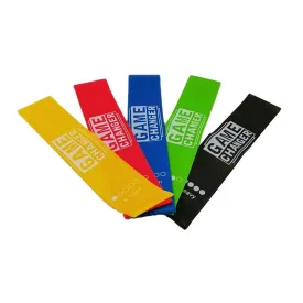 game-changer-mini-modstandsband