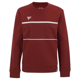 tecnifibre-moletom-team