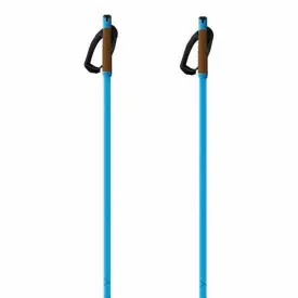 fischer-batons-storm-gtx-s