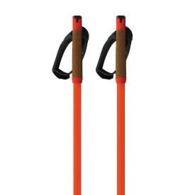 fischer-bastoncini-storm-gtx-l