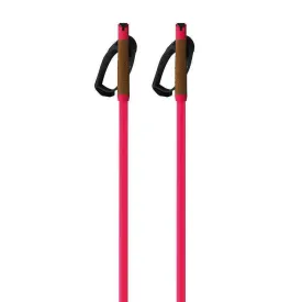 fischer-bastoncini-storm-gtx-l