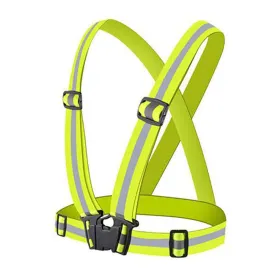 p2r-aurora-reflexvast