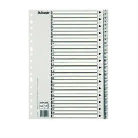esselte-multiperforerade-1-31-pp-indexflikar