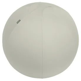 leitz-active-防滑座椅球-65-cm