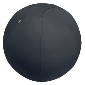 leitz-active-防滑座椅球-75-cm