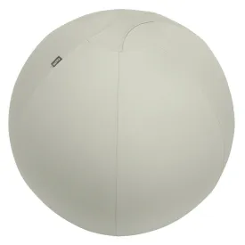 leitz-active-防滑座椅球-75-cm