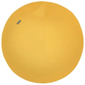 leitz-active-防滑座椅球-65-cm