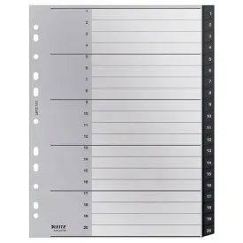 leitz-multiperfored-recycle-a4-maxi-1-12-pp-index-separators