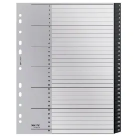leitz-multiperfored-recycle-a4-maxi-1-20-pp-index-separators