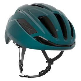 kask-casc-sintesi-wg11