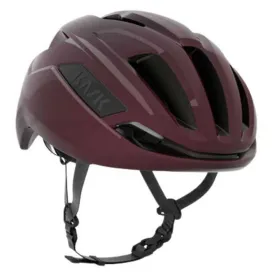 kask-casc-sintesi-wg11