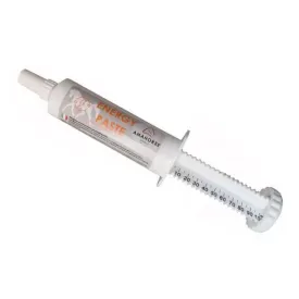 amahorse-comida-complementar-energy-paste-120g