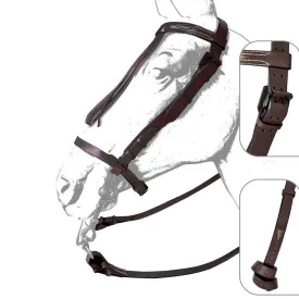 zaldi-ronda-halfter-spanisch