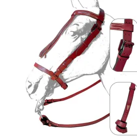 zaldi-ronda-halfter-spanisch