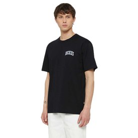Dickies T-shirt à Manches Courtes Aitkin Chest