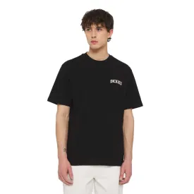 dickies-elliston-t-shirt-med-korta-armar