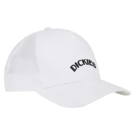 dickies-shawsville-trucker-cap