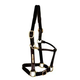 tattini-cabecada-reinforced-leather