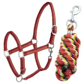 tattini-cabecada-e-guia-daslo