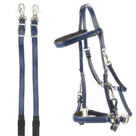 tattini-daslo-raid-挽具