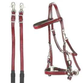 tattini-daslo-raid-trans
