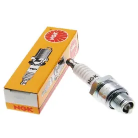 ngk-bugia-bpr5efs
