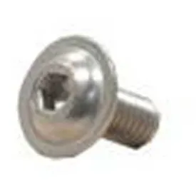 fischer-panda-lens-head-screw