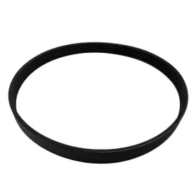 fischer-panda-v-ribbed-strap