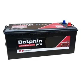 dolphin-charger-pro-batterij-180a