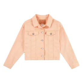 levis---baggy-trucker-ジャケット