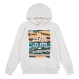 levis---landscape-box-후드티